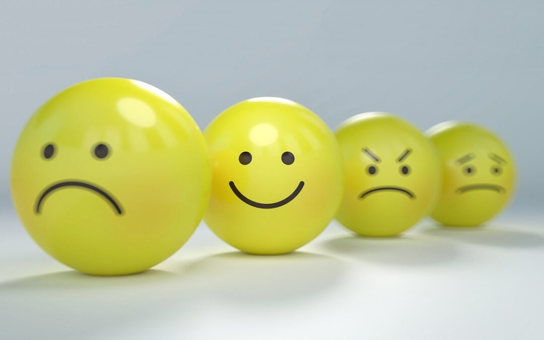 Navigating the Wheel of Emotions : Unlocking Emotional Literacy for a Deeper Connection