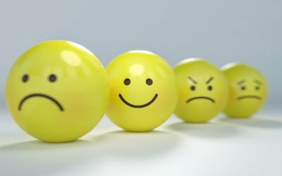 Navigating the Wheel of Emotions : Unlocking Emotional Literacy for a Deeper Connection